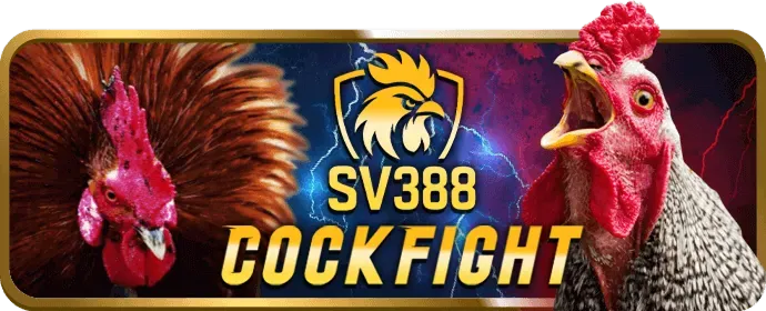 Cá cược bóng rổ tại f1688 casino